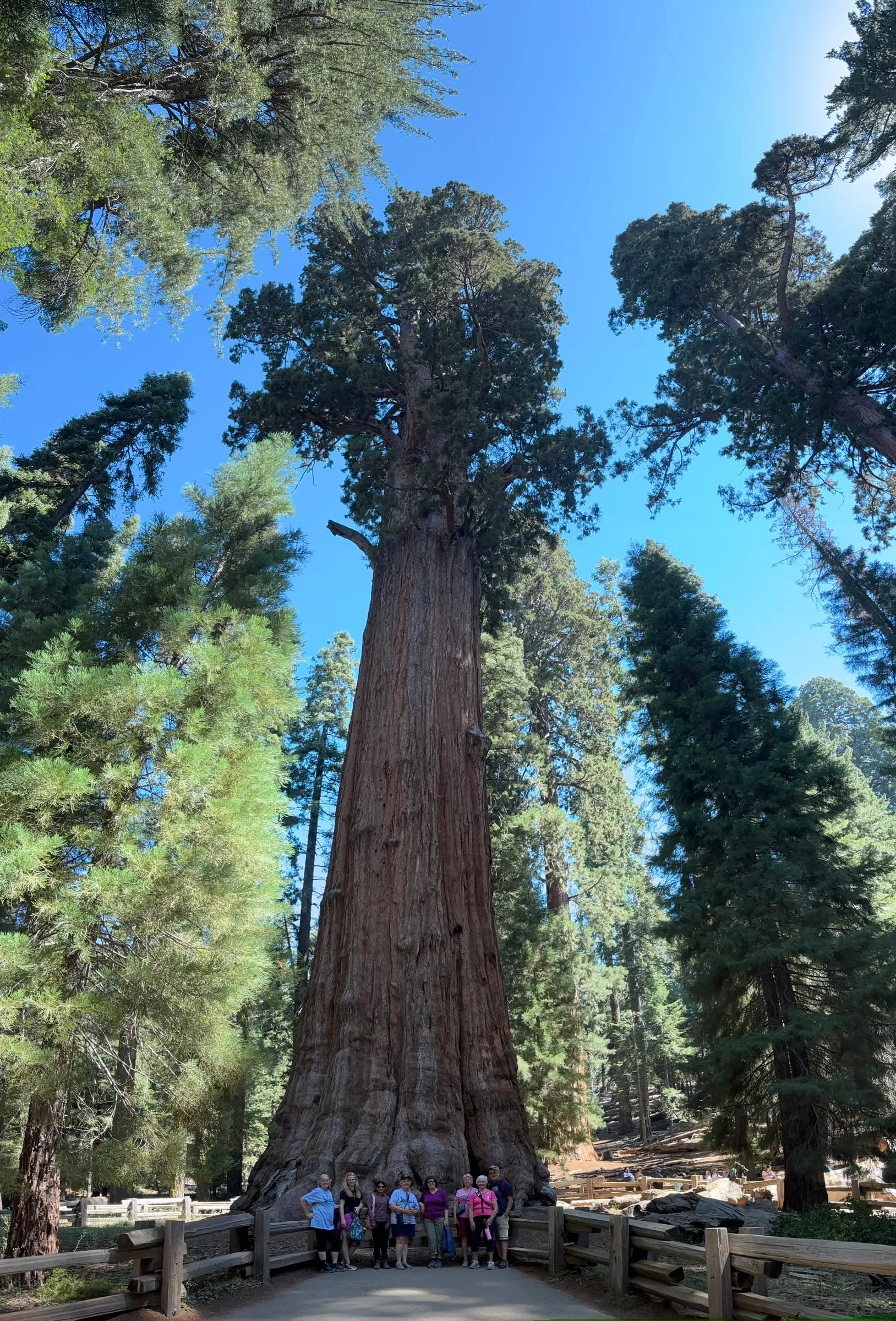 General Sherman, Sequoia National Park