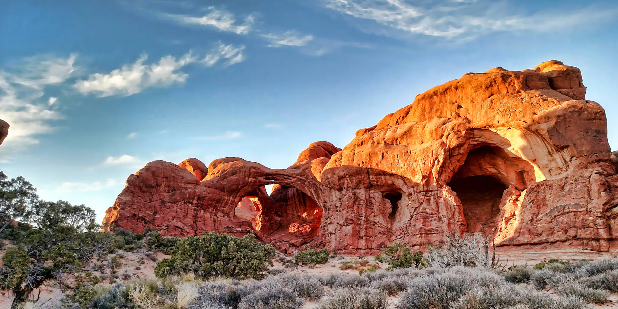 windows section arches