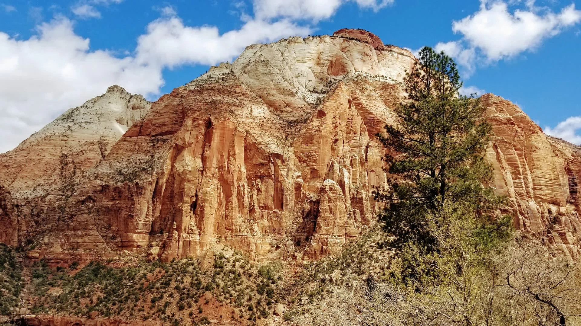 Zion National Park