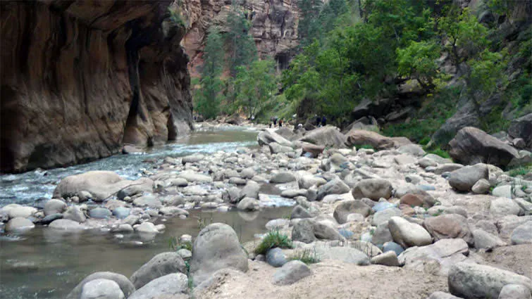 Zion Virgin River Narrows Hiking