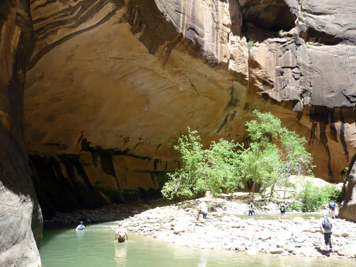 Zion Park 1-Day Tour