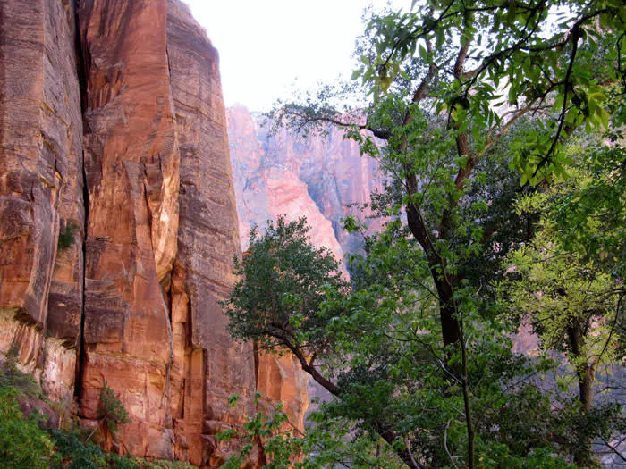 Zion Park 1-Day Tour