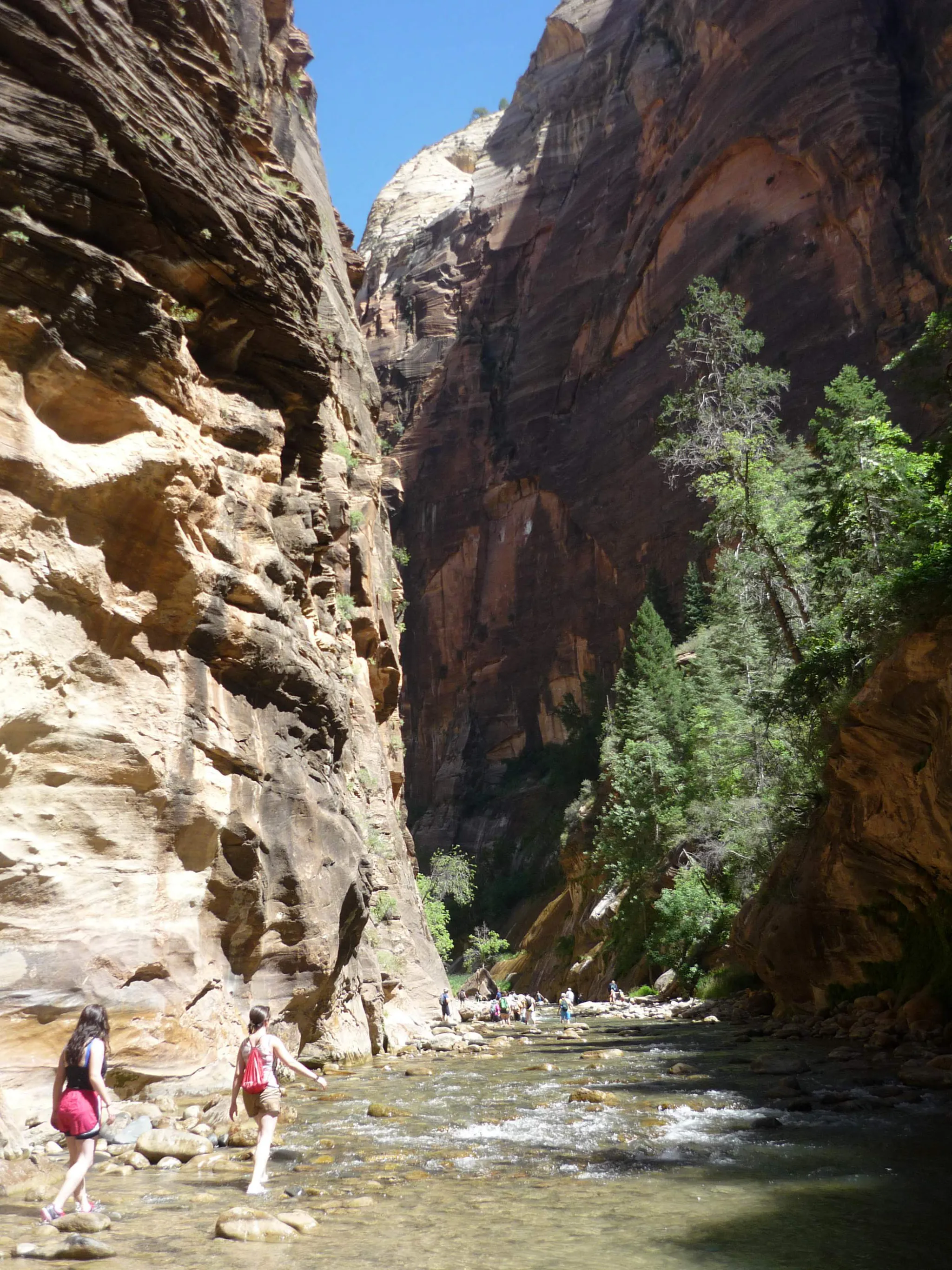 Zion Park 1-Day Tour